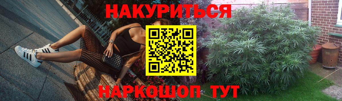 Канабис гибрид  МАРИХУАНА сатива  Звенигород  Конопля сатива  Вход с VPN 